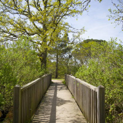 magazine-departement-gironde-103-n103-reportage-photos-sebastien-huruguen (10)