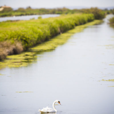 magazine-departement-gironde-103-n103-reportage-photos-sebastien-huruguen (12)