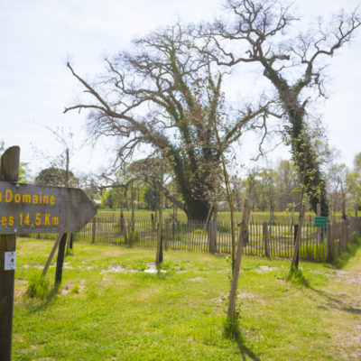 magazine-departement-gironde-103-n103-reportage-photos-sebastien-huruguen (9)