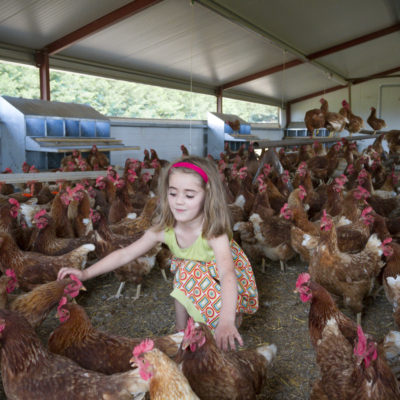 portrait-enfant-poule-pondeuse-poulailler-gironde-magazine-sebastien-huruguen-phtographe-bordeaux