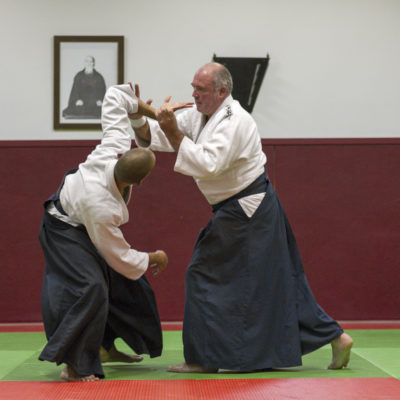 aikido-bruges-bernard-borie-club-stage-sebastien-huruguen-photographe-bordeaux (5)