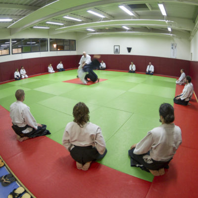 aikido-bruges-bernard-borie-club-stage-sebastien-huruguen-photographe-bordeaux (8)