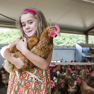 poule-enfant-portrait-elevage-pouailler-gironde