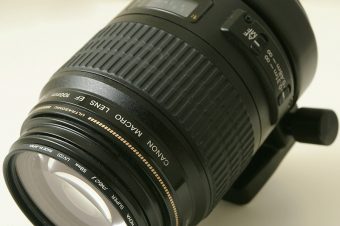 Test du Canon EF 100mm f2.8 Macro USM