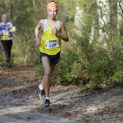 course à pieds running run courir trail en jalle saint jean d'illac 2015 sebastien huruguen photographe bordeaux gironde pollet