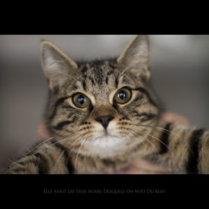 Day_Three_Hundred_Twenty_Seven